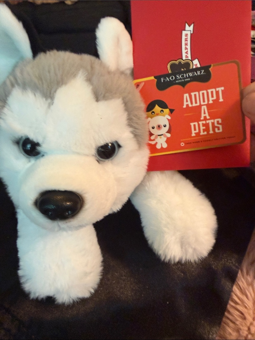 FAO Schwarz Gray & White Husky Plush - Adopt A Pets Tag